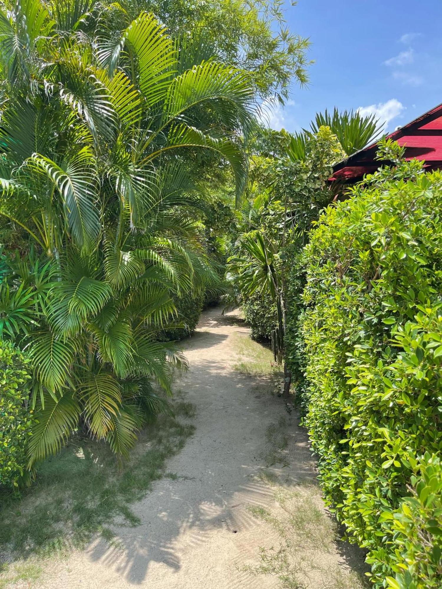 Seaesta Beach Hotel Baan Tai Buitenkant foto